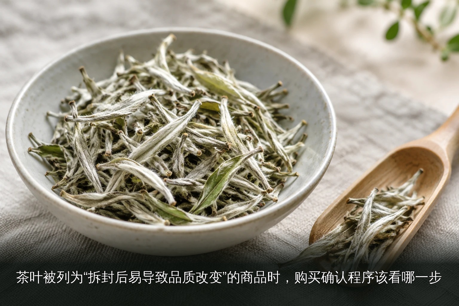 主题配图|白茶芽叶主题